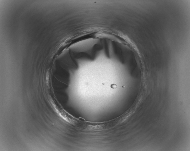 X0000080710057200701021039