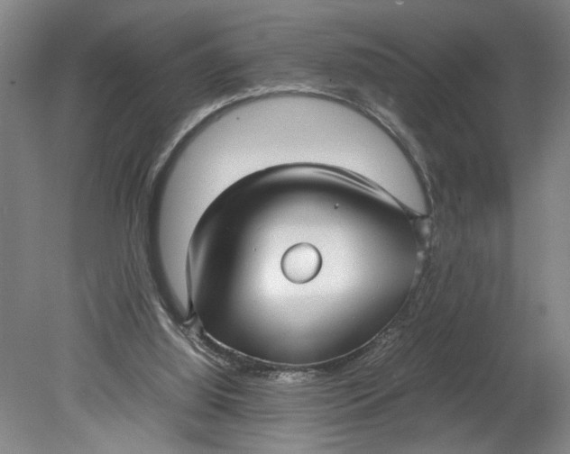 X0000080710060200701021039