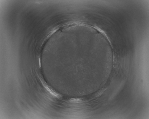 X0000080710061200701021039