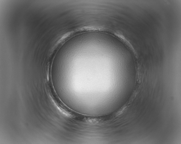 X0000080710062200701021039