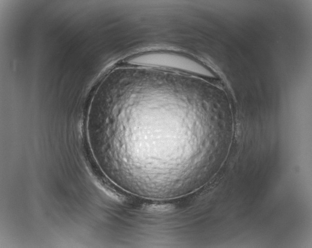 X0000080710063200701021039