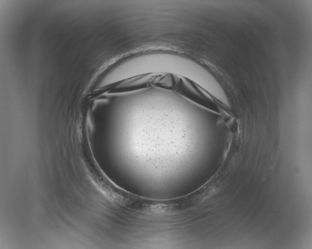 X0000080710064200701021039