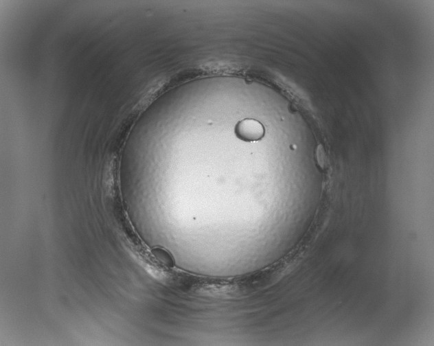 X0000080710065200701021039