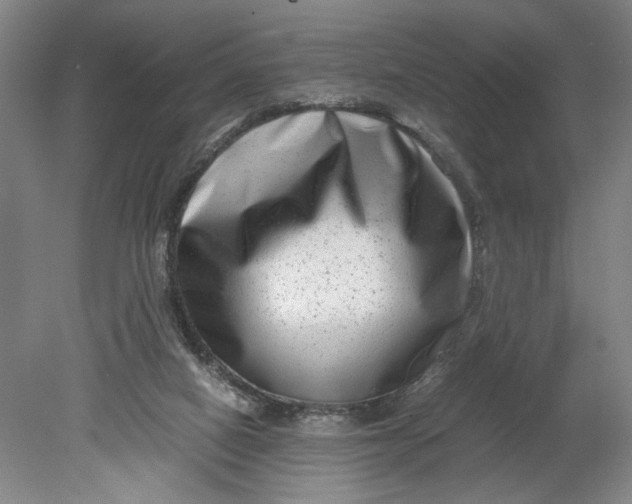 X0000080710066200701021039