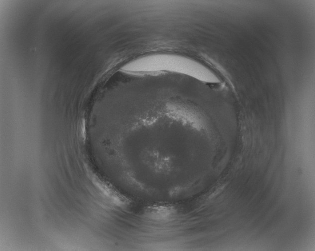 X0000080710067200701021039