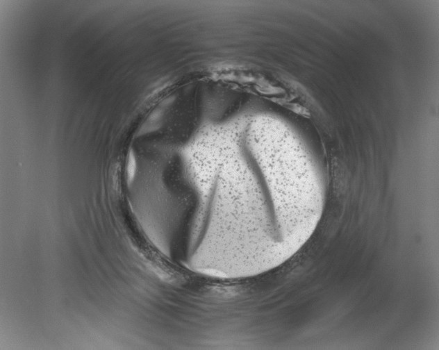 X0000080710071200701021039