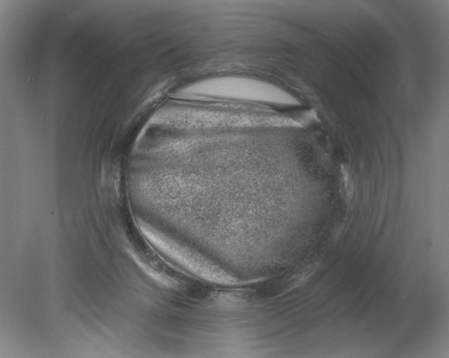 X0000080710072200701021039