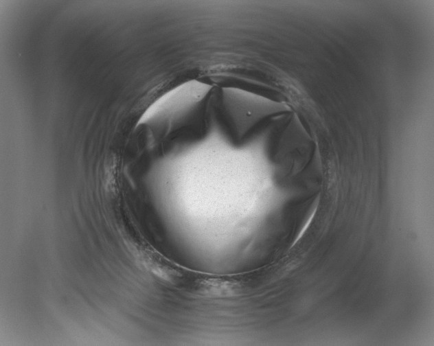 X0000080710073200701021039