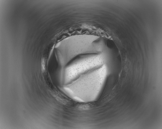 X0000080710075200701021039