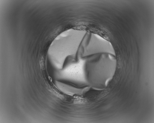 X0000080710077200701021039