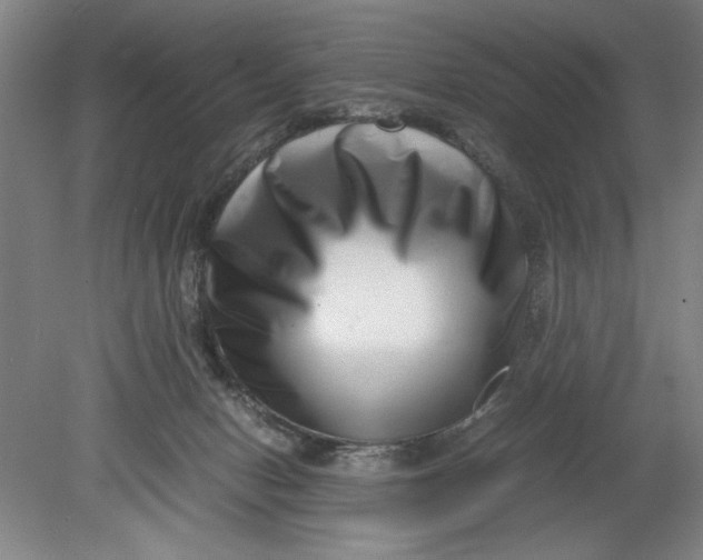 X0000080710078200701021039