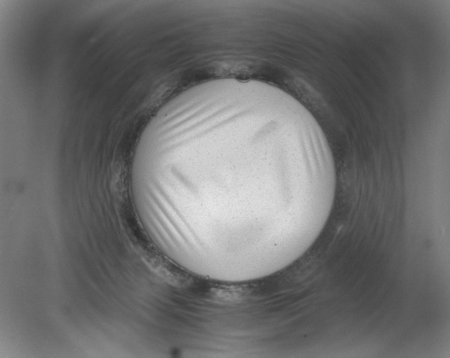 X0000080710079200701021039