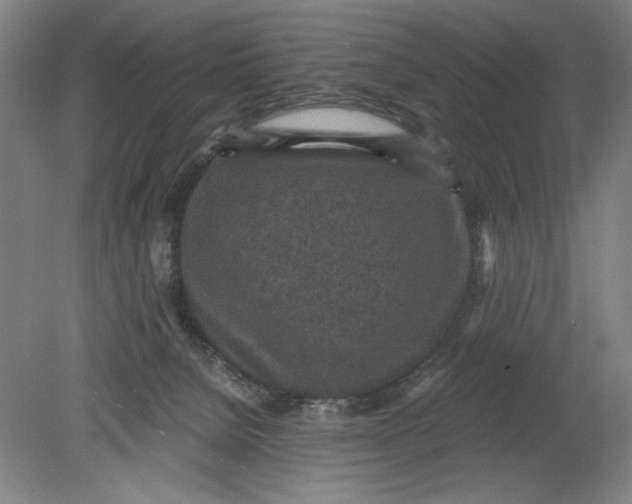 X0000080710080200701021039