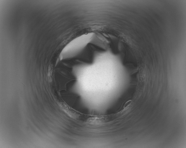 X0000080710082200701021039