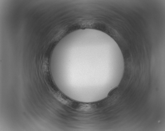 X0000080710083200701021039