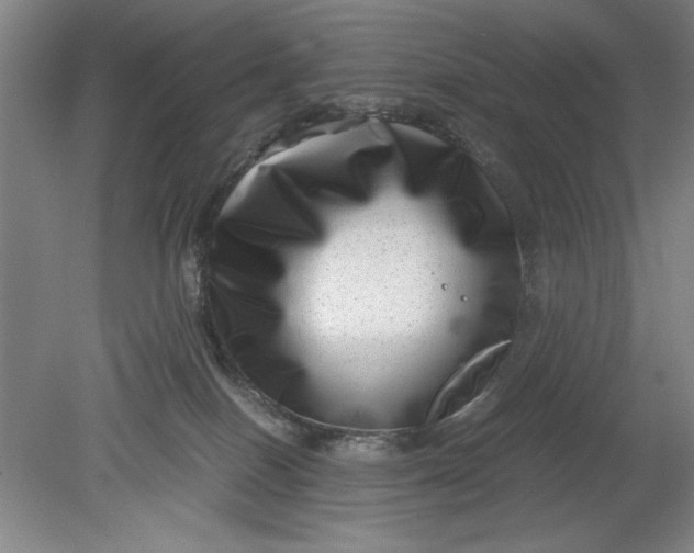 X0000080710086200701021039