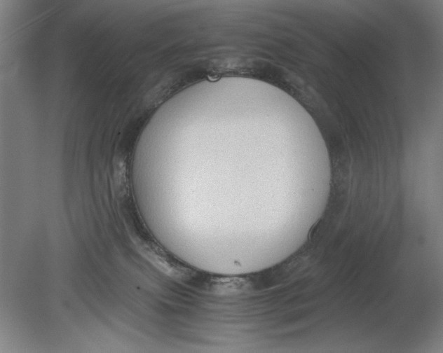 X0000080710087200701021039