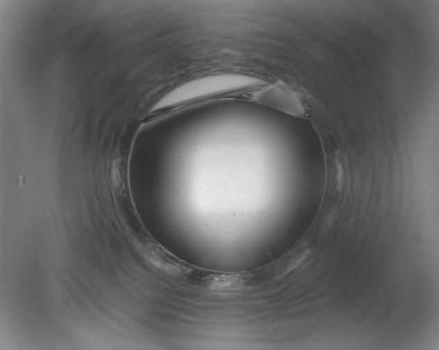 X0000080710088200701021039