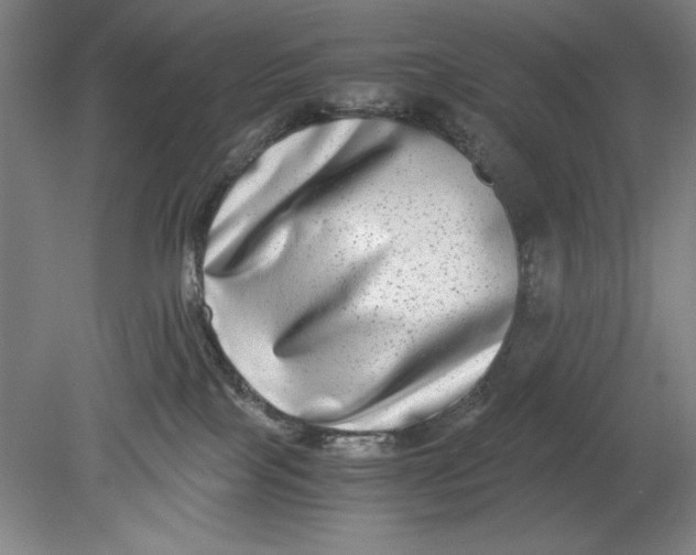 X0000080710089200701021039