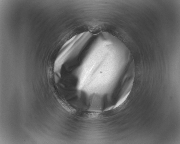 X0000080710090200701021039