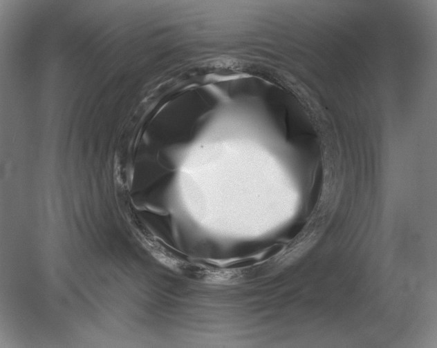 X0000080710096200701021039