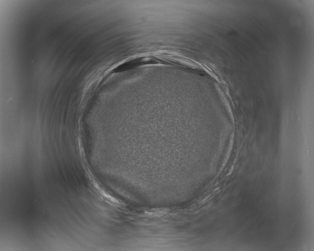 X0000080710097200701021039