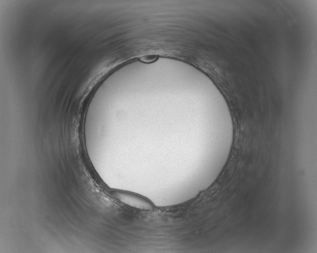 X0000080710098200701021039