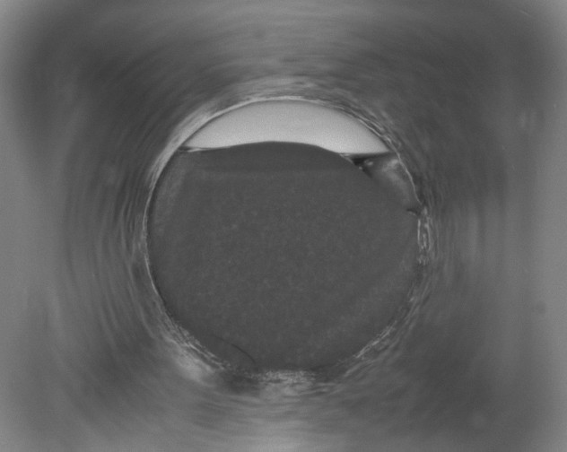 X0000080710099200701021039