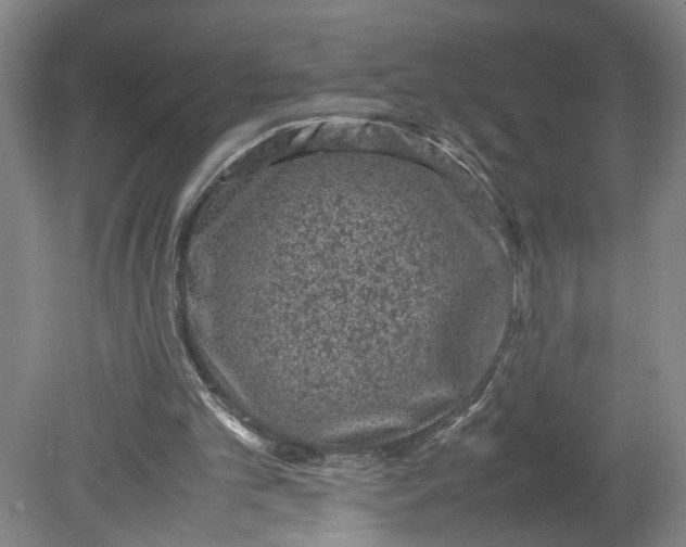 X0000080710101200701021039