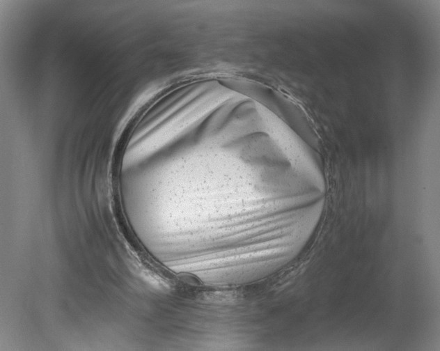 X0000080710102200701021039