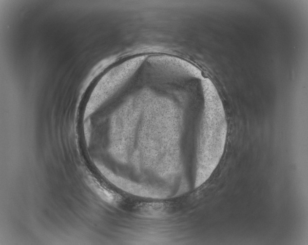 X0000080710104200701021039