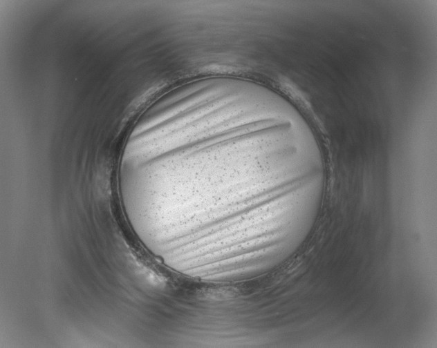 X0000080710106200701021038