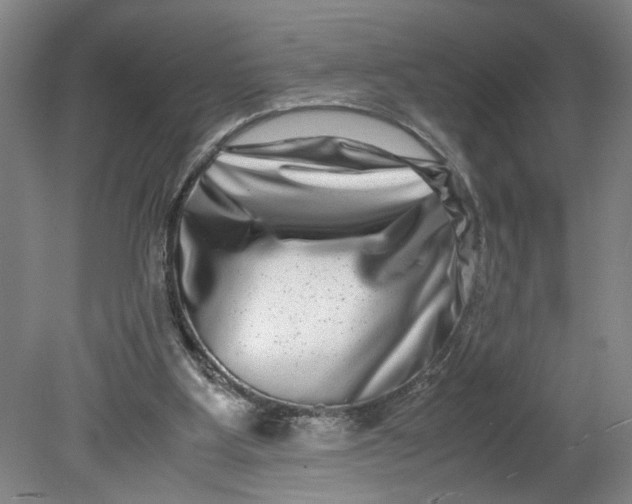 X0000080710107200701021038