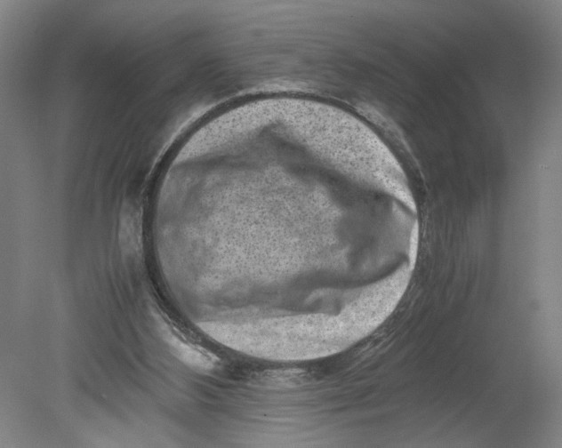 X0000080710108200701021038