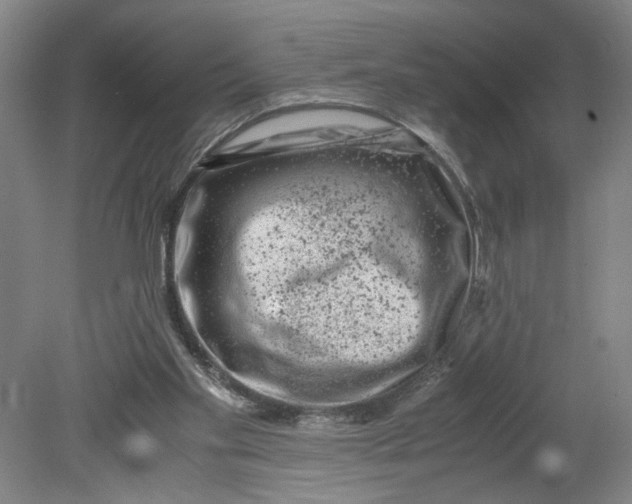 X0000080710109200701021038