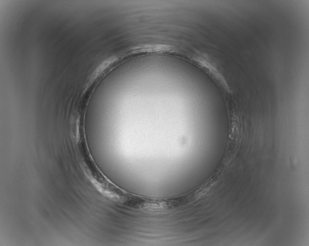 X0000080710110200701021038