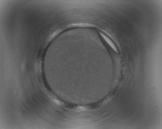 X0000080710111200701021038