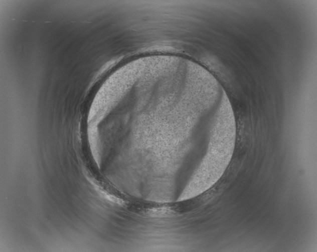 X0000080710112200701021038