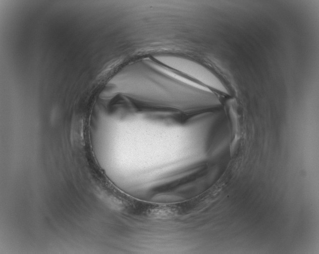 X0000080710115200701021038