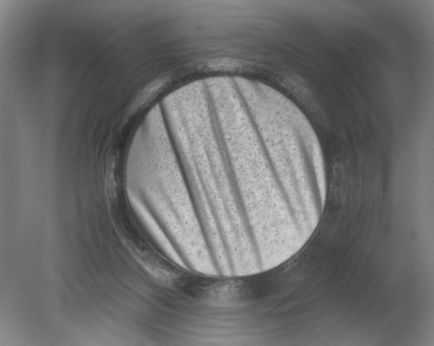 X0000080710116200701021038