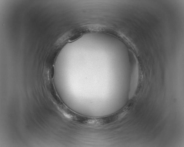 X0000080710117200701021038