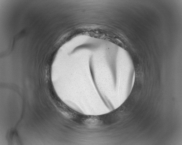 X0000080710119200701021038