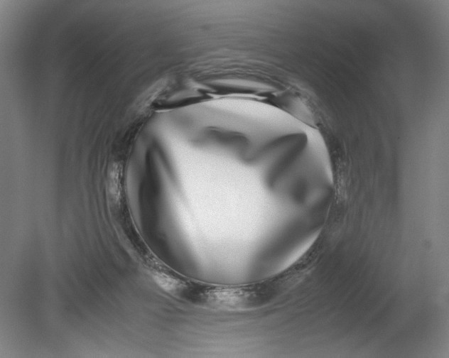 X0000080710121200701021038