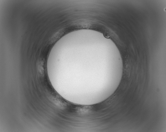 X0000080710122200701021038