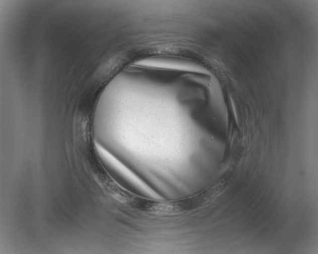 X0000080710123200701021038