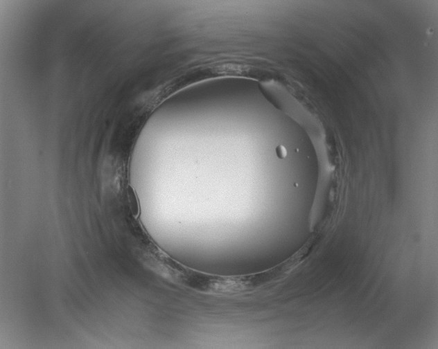 X0000080710125200701021038