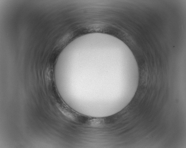 X0000080710126200701021038