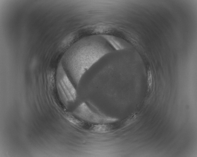 X0000080710127200701021038