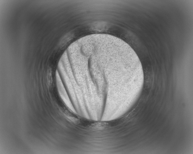 X0000080710128200701021038