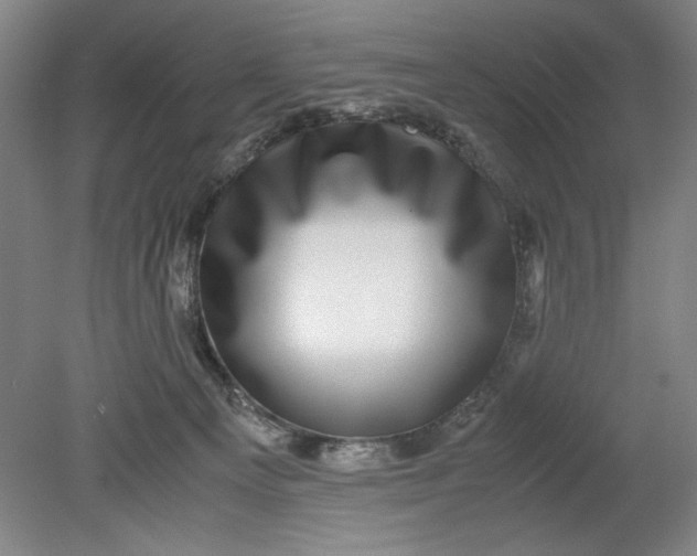 X0000080710129200701021038